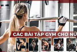 Bài Tập Thân Trên Cho Nữ Tại Phòng Gym