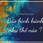 Bão Như Thế Nào Rồi