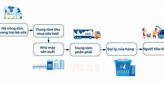 Chuỗi Giá Trị Công Ty Vinamilk