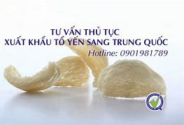 Thủ Tục Xuất Khẩu Yến Sang Trung Quốc